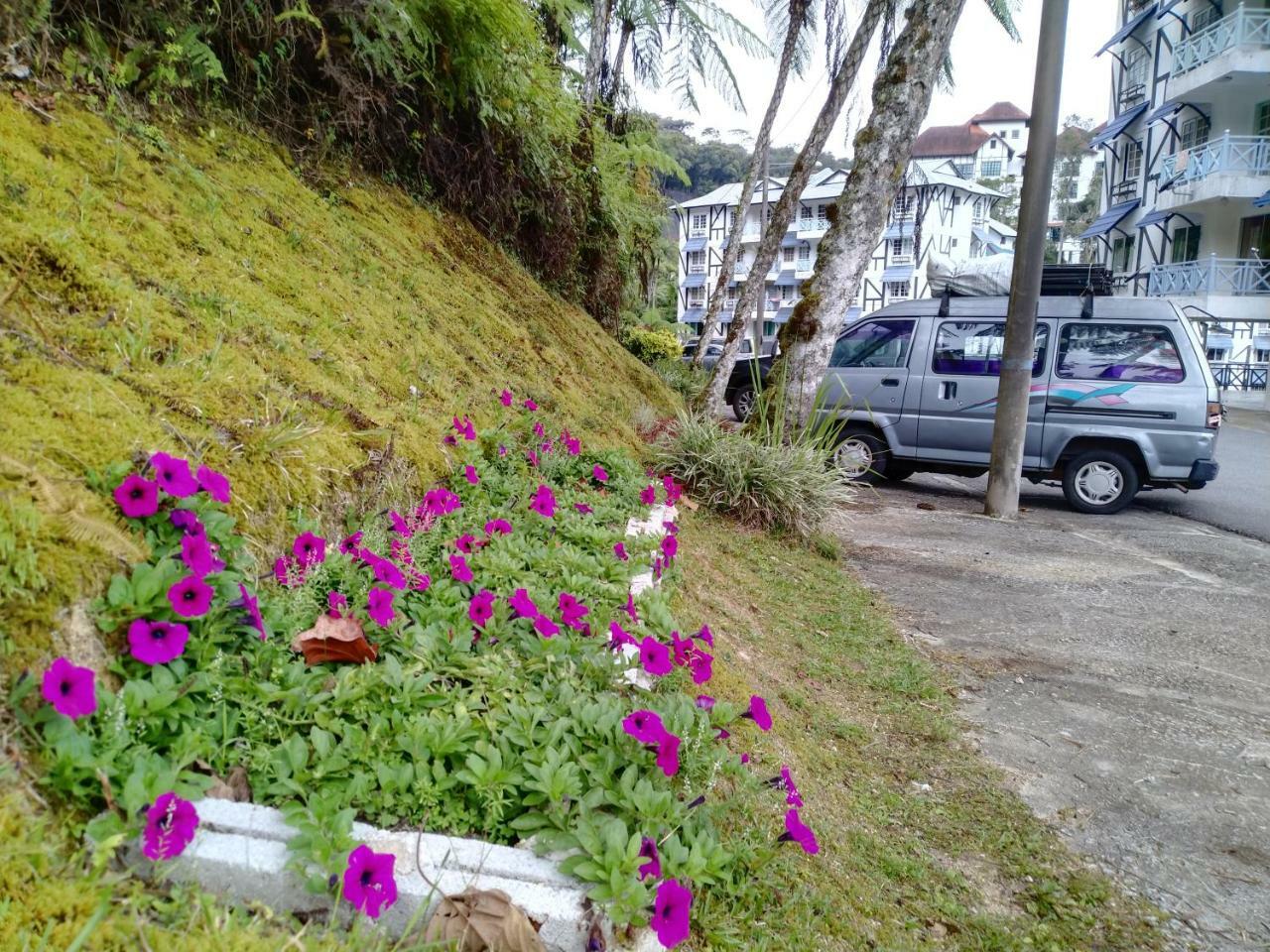 Апартаменты Desa Anthurium Камерон-Хайлендс Экстерьер фото